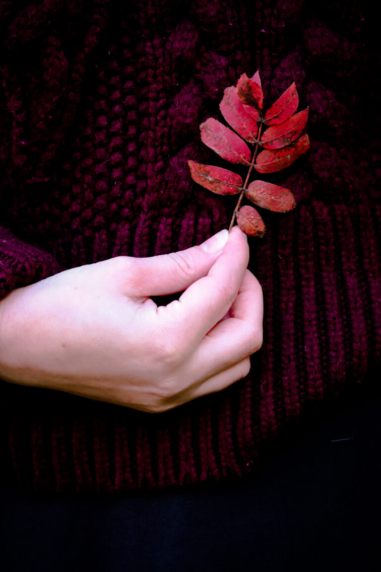 autumn leaf