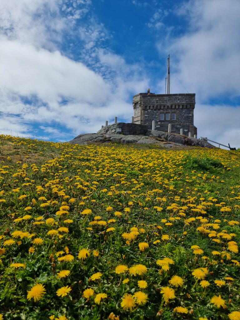 Signal Hill Signal Hill